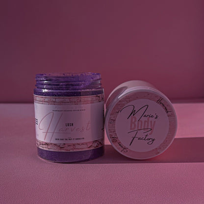 Lush Harvest Foaming Sugar Scrub